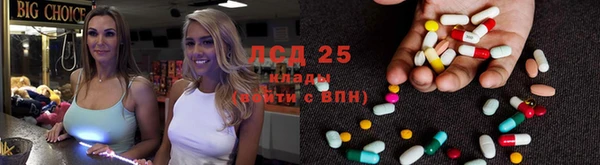 хмурый Алзамай