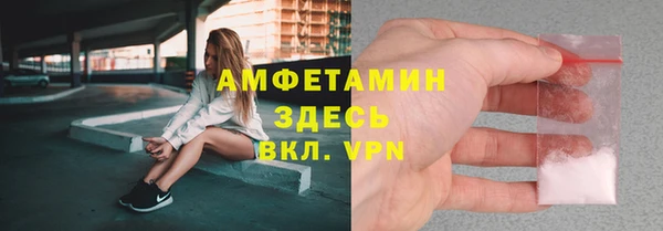 хмурый Алзамай