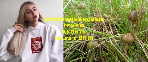 герыч Алексин