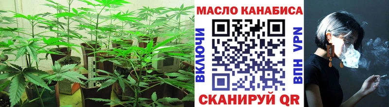ТГК THC oil  даркнет сайт  Ковылкино 