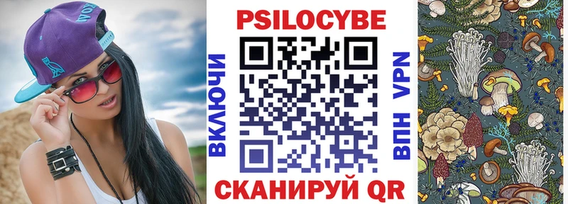 закладка  Ковылкино  сайты даркнета наркотические препараты  Галлюциногенные грибы ЛСД 